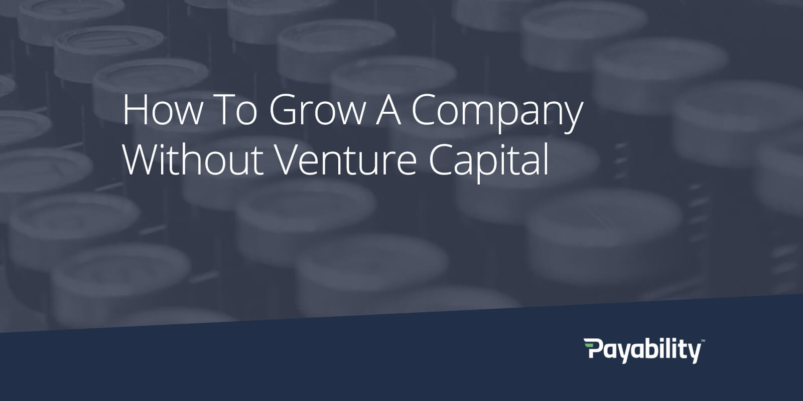 venture capital company